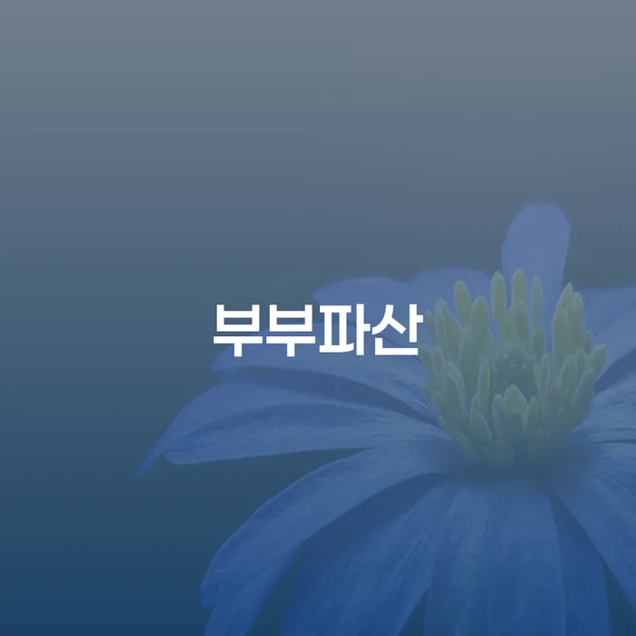 개인회생폐지 개인회생으로 방법 추천하는 법률사무소