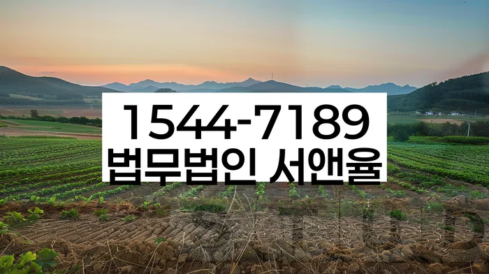 개인회생성공사례