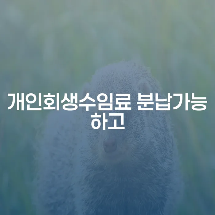 모바일자동대출 연체 시 개인회생으로 현명하게 적정한