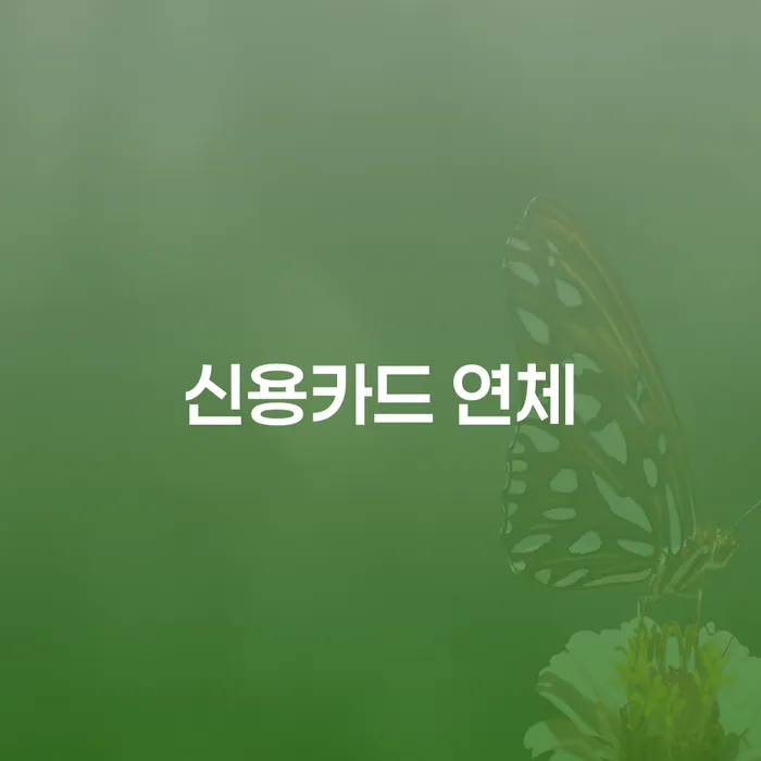 부산광역시 개인회생특별면책 워크아웃 해결하기