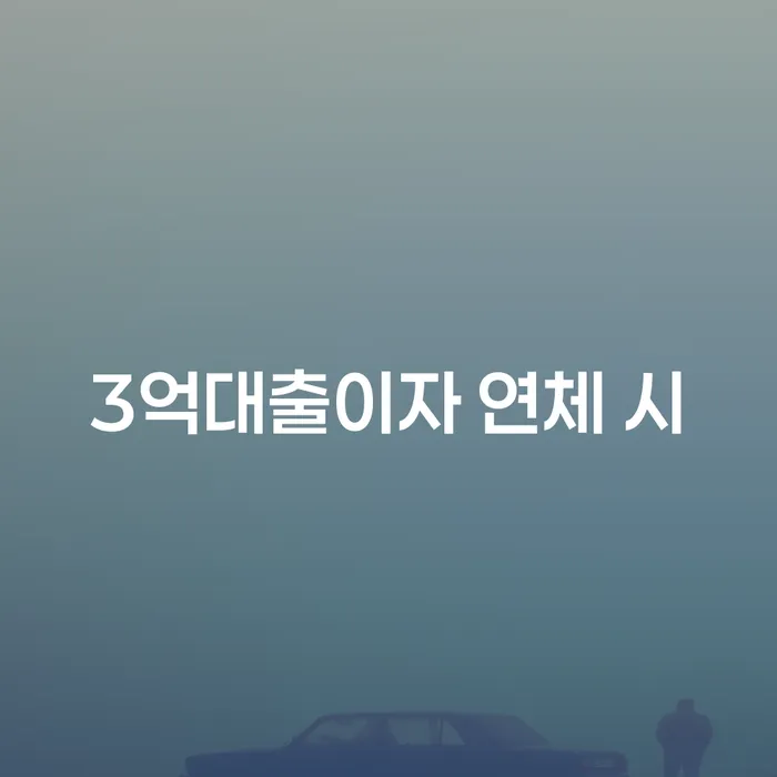 밀양시 대출 연체기간 개인회생 채무조정제도를 이용