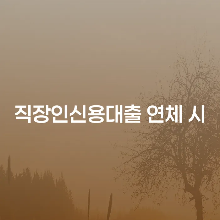 광주시 개인돈회생 카드빚 연체 알아보기