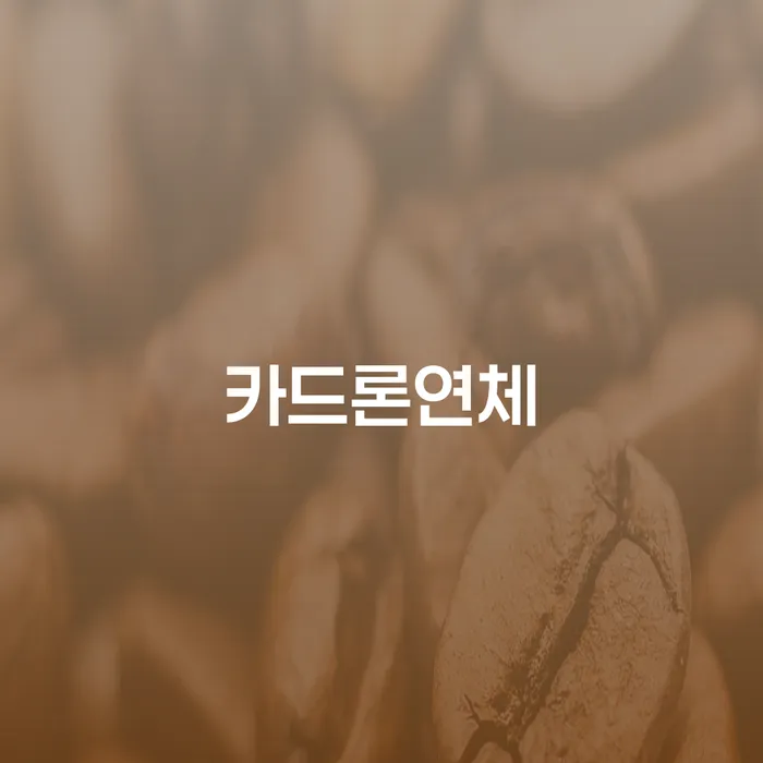 부천시 고금리전환대출 연체 시 카드빚 연체 장점을