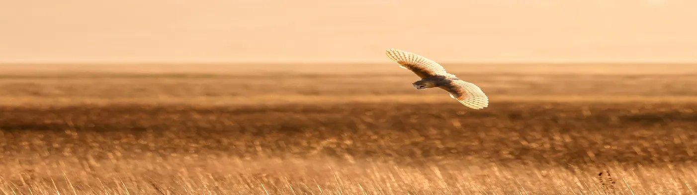 법무법인 서앤율