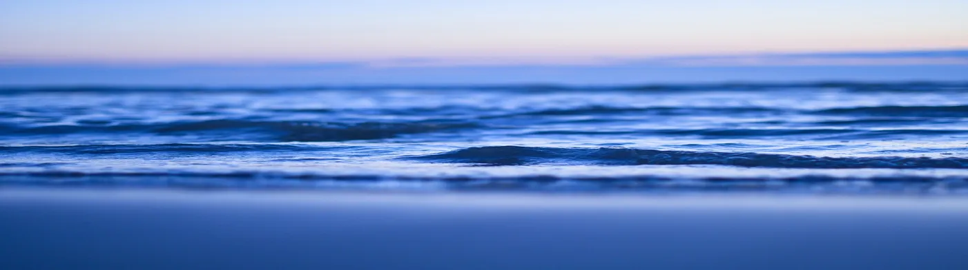 법무법인 서앤율