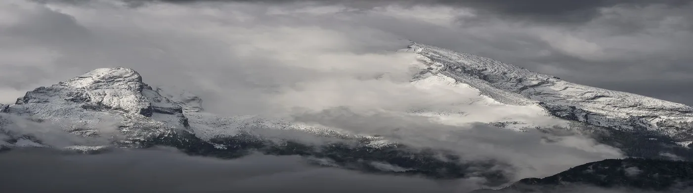 법무법인 서앤율