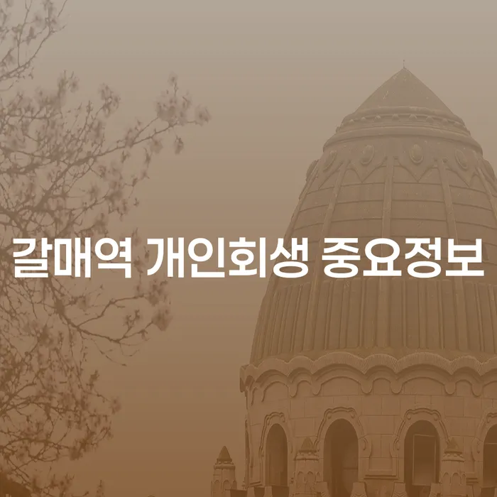 갈매역 개인회생 중요정보