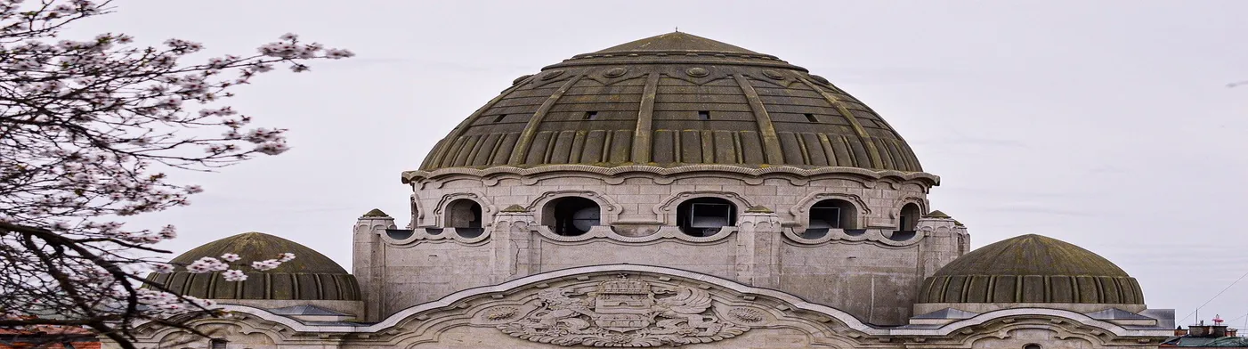 법무법인 서앤율