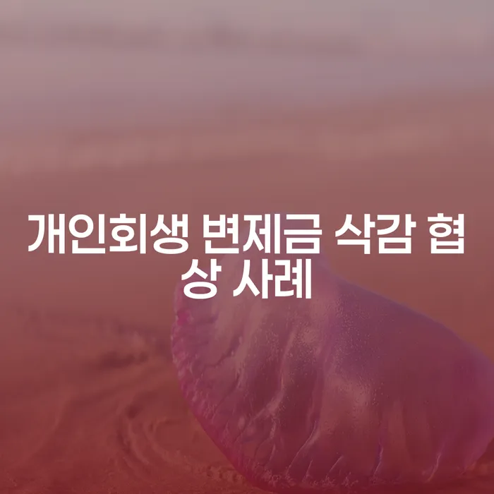 개인회생 변제금 삭감 협상 사례, 어떻게 접근해야 할까요?