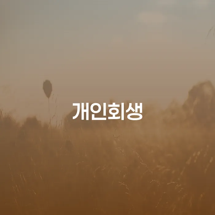 달서 개인회생의 절차와 성공적인 사례