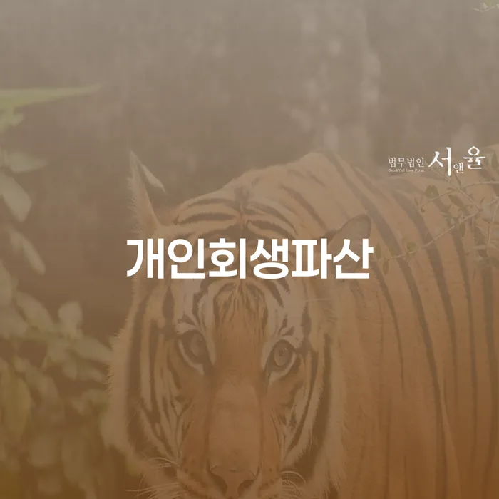 태백시 개인회생 파산 절차 및 사례