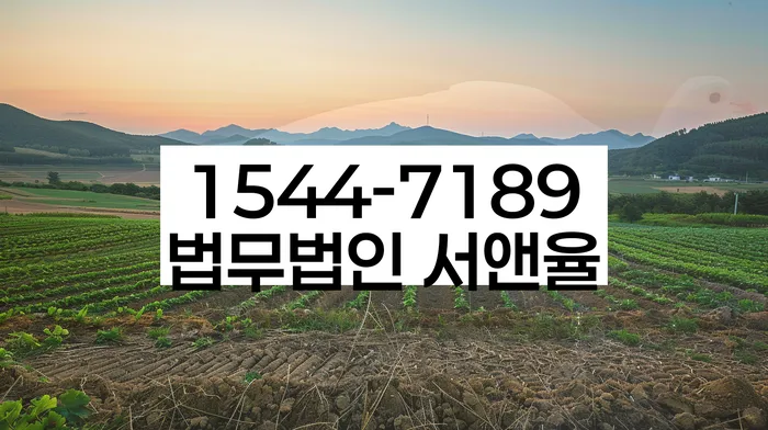 태백시 개인회생 사례