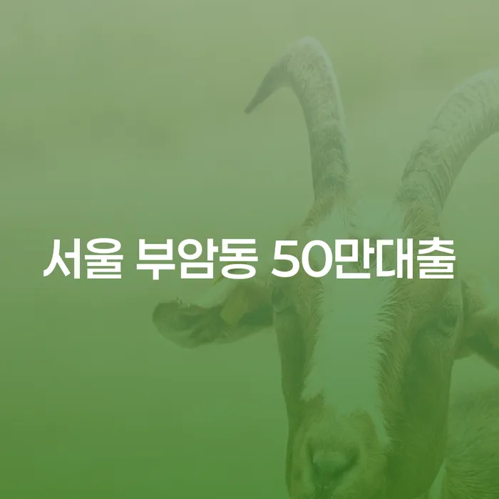 서울 부암동 50만대출: 개인회생주택담보대출의 가능성과 절차